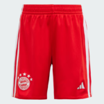 Conjunto Bayern de Munique I 2023 – Infantil - Imagem 4