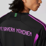 Camisa Bayern de Munique II - 2023 - Imagem 6