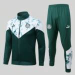 Conjunto Palmeiras I - 2022
