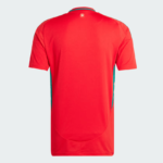 Camisa País de Gales I – 2024 - Imagem 2