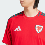 Camisa País de Gales I – 2024 - Imagem 4