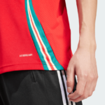 Camisa País de Gales I – 2024 - Imagem 3