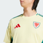 Camisa País de Gales II – 2024 - Imagem 3