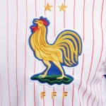 Camisa França II – 2024 - Imagem 4