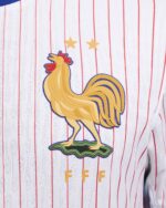 Camisa França Modelo Jogador II – 2024 - Imagem 3