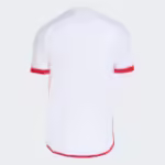 Camisa Flamengo 2 - 2024/25 Modelo Jogador - Imagem 2