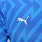 Camisa Palmeiras Goleiro - 2024 - Imagem 3