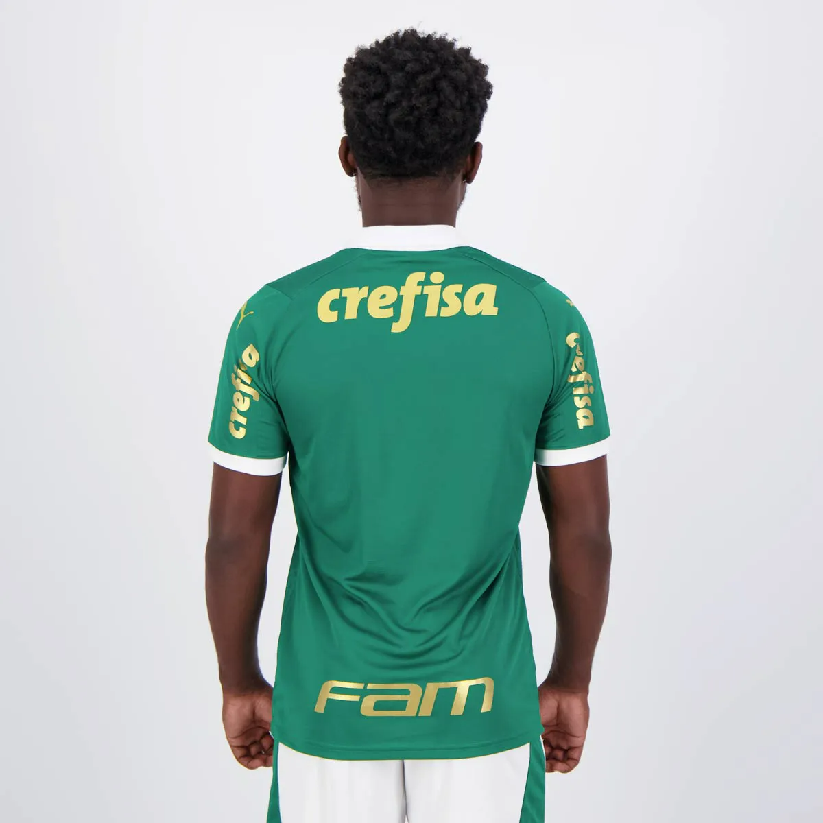 Camisa Palmeiras I - 2024 Patrocínios - Imagem 2