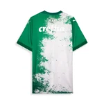 Camisa Palmeiras Edição Especial - 2024 - Imagem 2