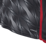 Camisa Flamengo 3 - 2024/25 Modelo Jogador - Imagem 4