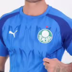 Camisa Palmeiras Pré-jogo - 2024 - Imagem 4