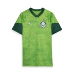 Camisa Palmeiras Treino II - 2024