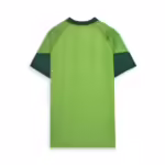 Camisa Palmeiras Treino II - 2024 - Imagem 2
