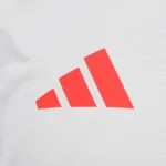 Camisa Internacional Treino Cinza - 2024 - Imagem 3