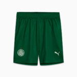 Conjunto Palmeiras II 2025/26 – Infantil - Imagem 3