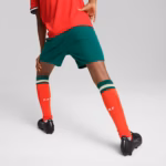 Conjunto Portugal I – 2025/26 Infantil - Imagem 2