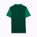 Camisa Palmeiras Polo Viagem - 2024 - Imagem 2