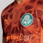 Camisa Palmeiras Goleiro Vermelha - 2025/26 - Imagem 3