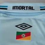 Camisa Grêmio II - 2025/26 - Imagem 5