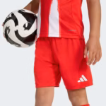 Conjunto Bayern de Munique I 2025/26 – Infantil - Imagem 4