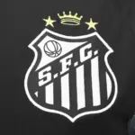 Camisa Santos Goleiro - 2025/26 - Imagem 3