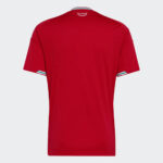 Camisa País de Gales I – 2026 - Imagem 2