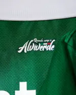 Camisa Palmeiras Edição Especial Avanti - 2025/26 Pré-Venda - Imagem 3